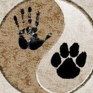 Meet your Posher, Marsha